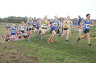 Senior womens Start Fitness North Eastern Harriers League, Wrekenton, Gateshead. Photo:  David T. Hewitson/Sports for All Pics